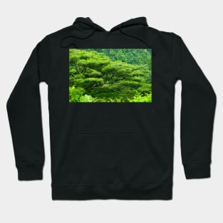 Shades of Green Hoodie